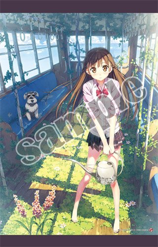 Amazon.co.jp: カントク B2タペストリー Rail Garden : おもちゃ